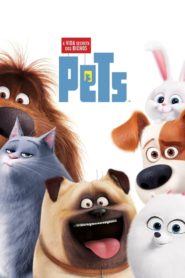 Pets 1: A Vida Secreta dos Bichos