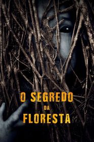 O Segredo da Floresta