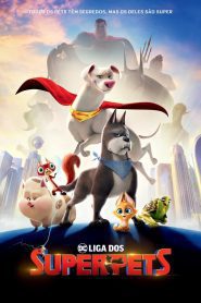 DC Liga dos Superpets